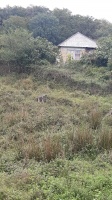 ������� ���� � �������� ����.
